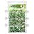 Lavinia Stamps Leaf Trails  Lavinia Stencils
