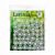 Lavinia Stamps Posy  Lavinia Stencils