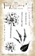 Tracy Evans Delight In Nature A6 Stamp (TE013) 